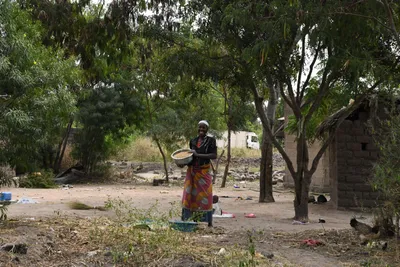 DSC_3169 (Large).JPG